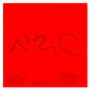 Deliquium In C - Anna Homler - Vinyl