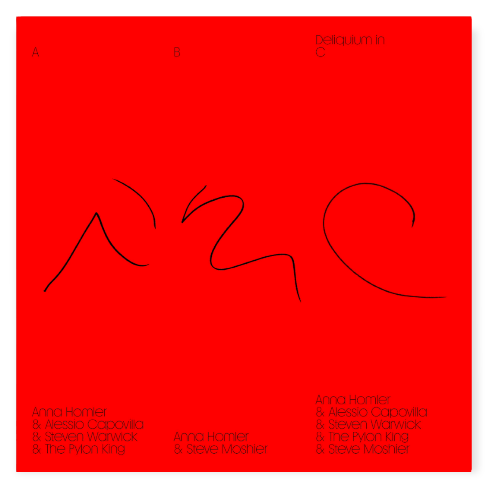 Deliquium In C - Anna Homler - Vinyl