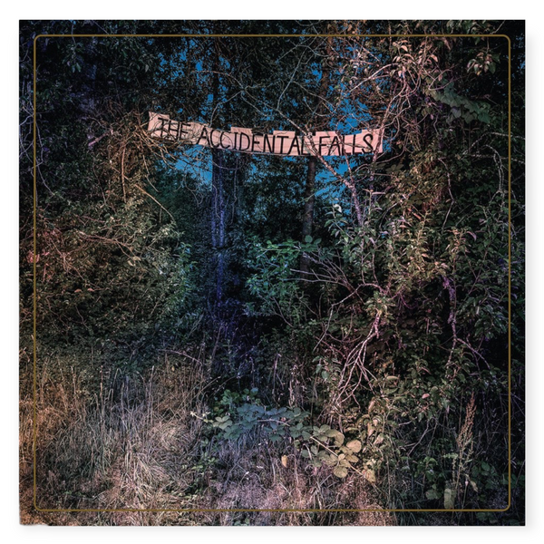 Eyelids - The Accidental Falls - Vinyl