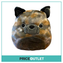 Squishmallow - Ballis the French Bulldog 5"